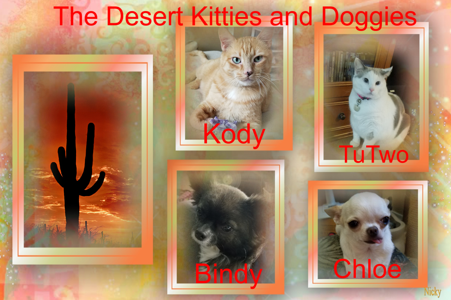 The Desert Kitties and doggies