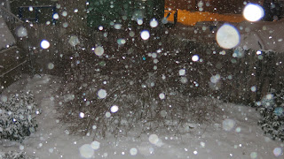 Orbs, Yesterday, January 22, 2016, 7:54:18 PM