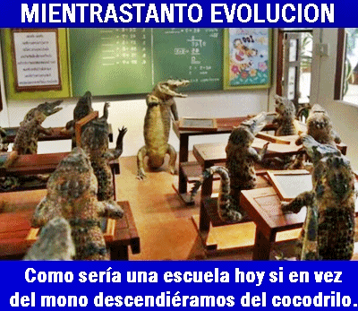 mientras evolución cocodrilo