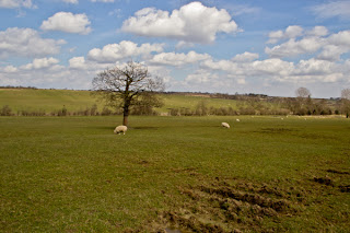 Harewood House Countryside Harewood House Countryside
