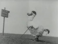 dodo heading to the convention