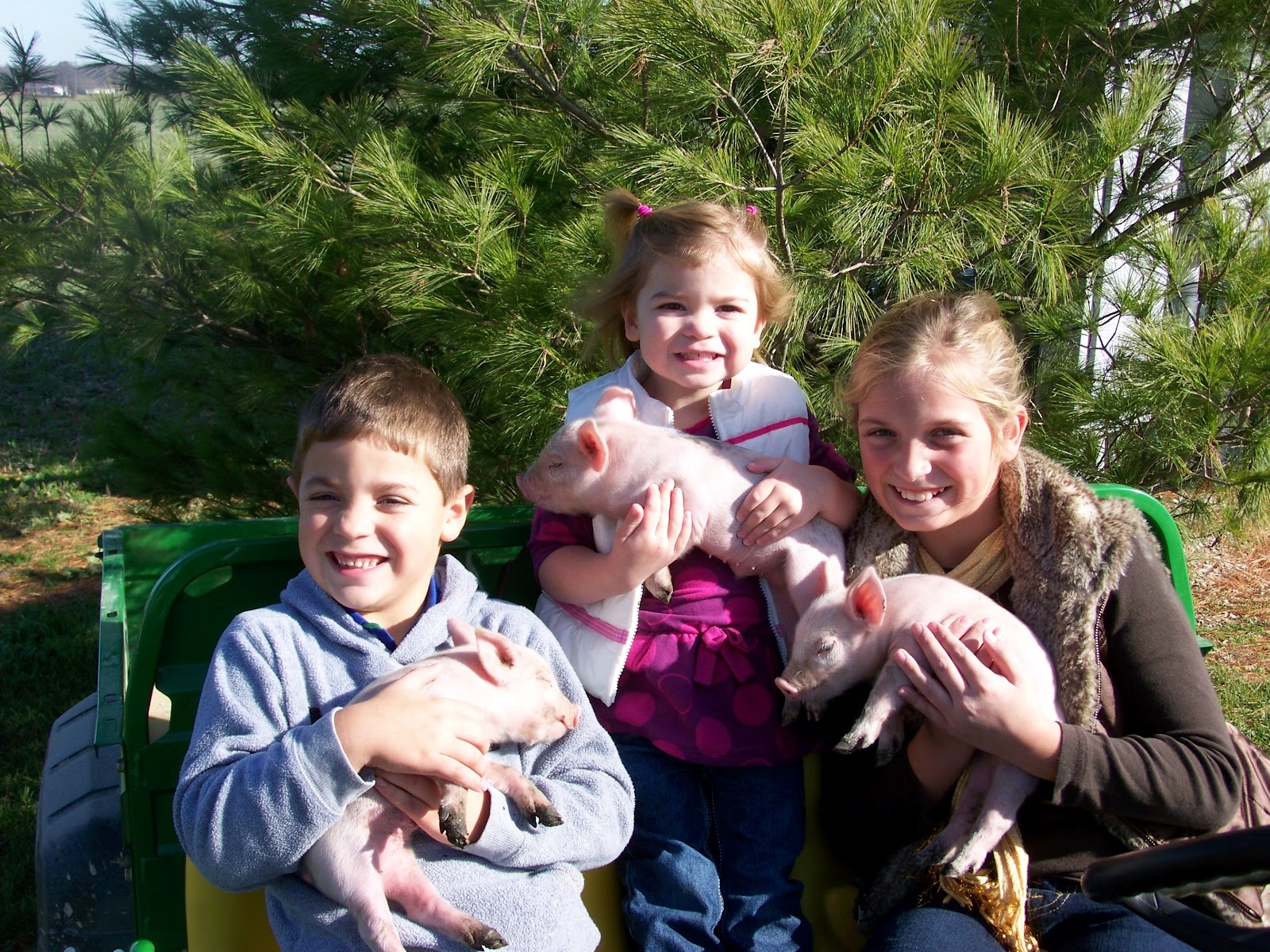 Agriculture in The World Agriculture For Kids