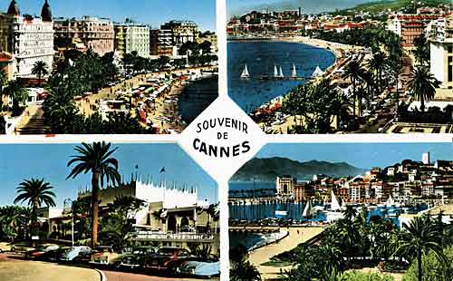 To Catch Cannes To Catch Cannes