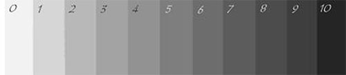 Elements Of Art Value : Art element value molesky s studio in