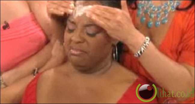 Kotoran Burung Kotoran Burung