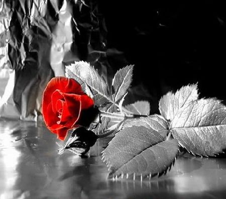 lack and white art wallpaper black and white art wallpaper. lack and white art wallpaper