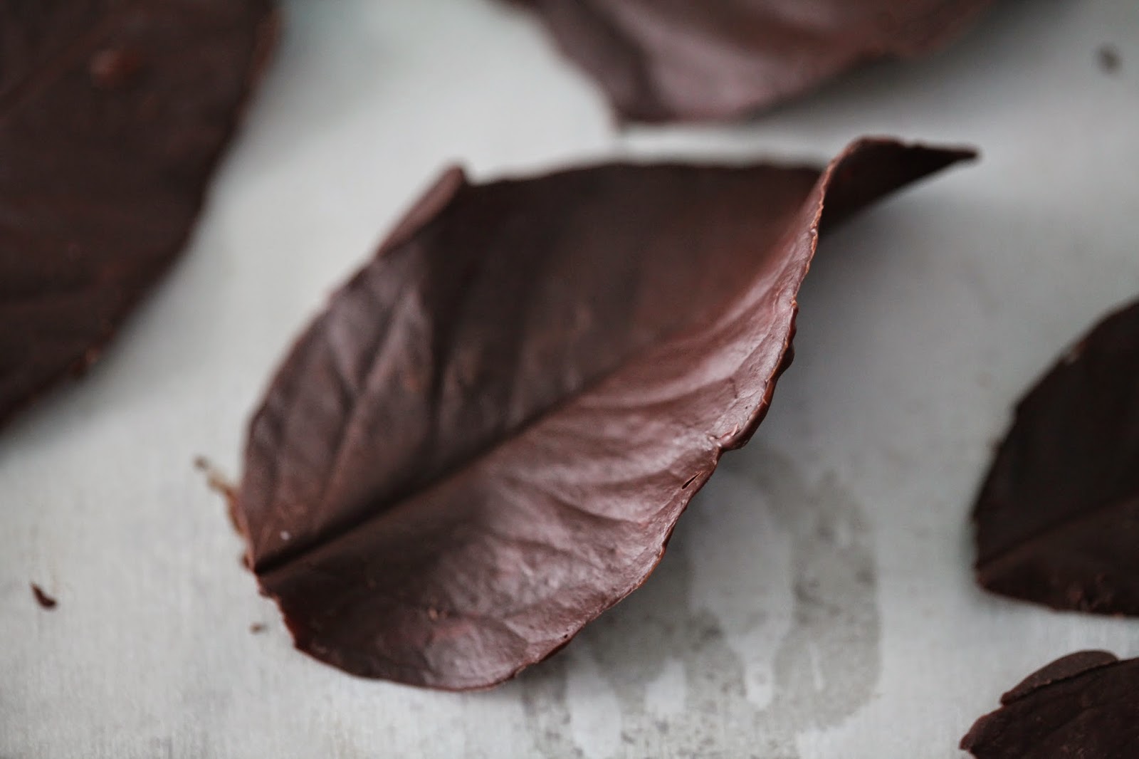 Salvation Sisters How To Make Chocolate Leaves for Dessert Garnishing