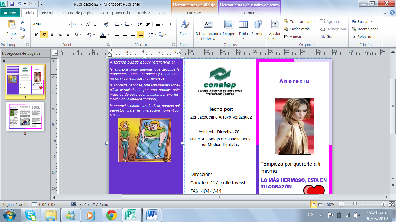 programa para hacer tripticos