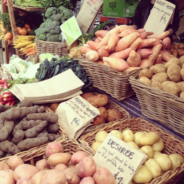 Orange Grove Goings On We continue to share the love of your love of loving our Orange Grove