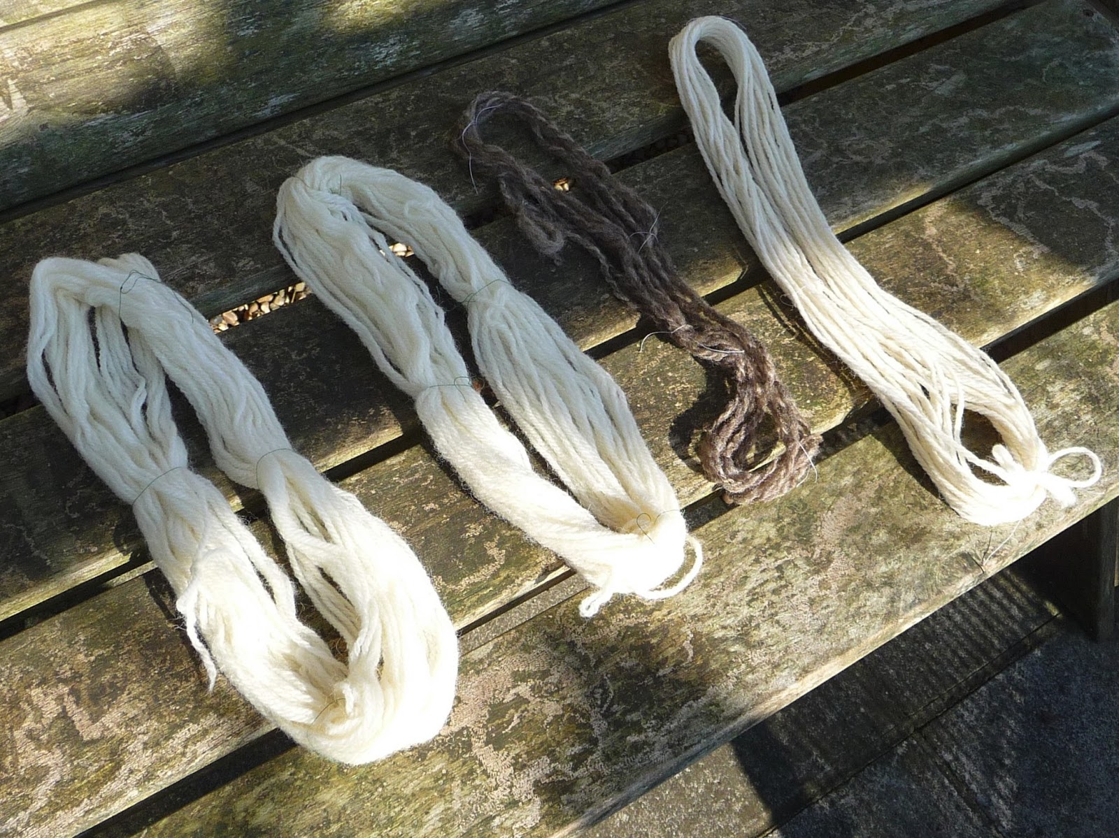 Wool Tribulations of Hand Spinning and Herbal Dyeing A Trial of