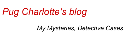 Pug Charlotte's Blog: 