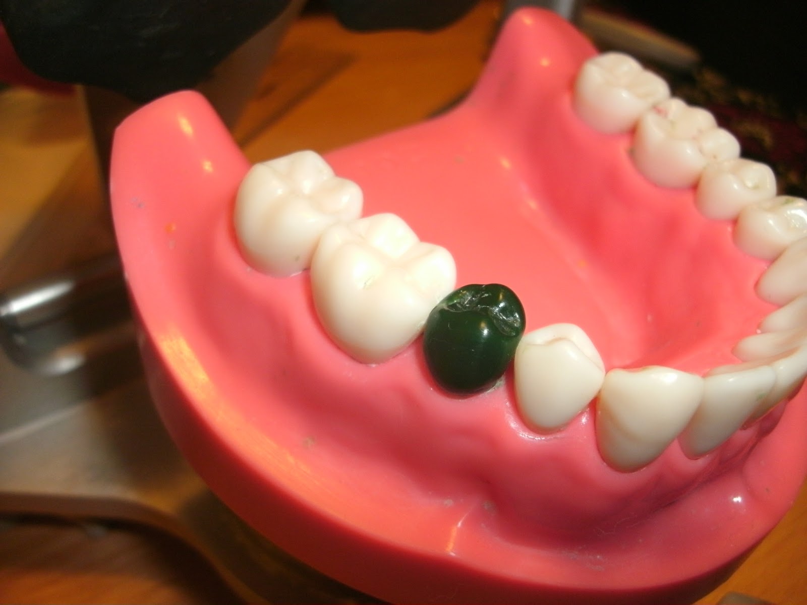 Love Like Enamel How to Thrive While Your Husband's in Dental School