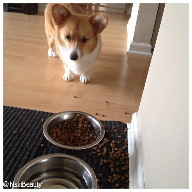 My Life Via Instagram VIII NskiBeauty Nski Beauty