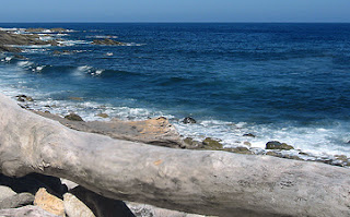 la Playa del del Rabo la Playa del del Rabo