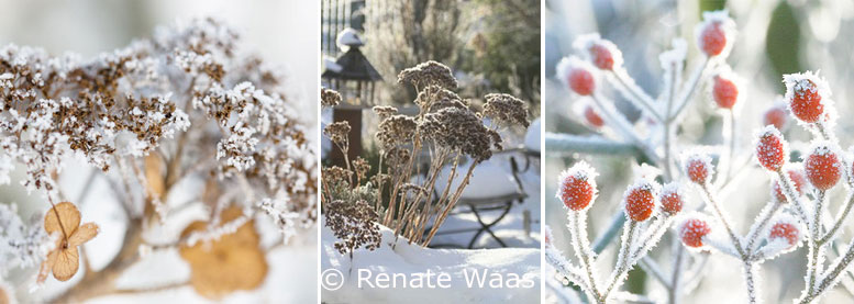 gartenblog zu gartenplanung, gartendesign und gartengestaltung gartenblog zu gartenplanung, gartendesign und gartengestaltung, Garten und Bauten