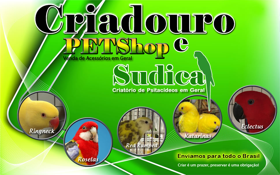 Criadouro e PETShop Sudica