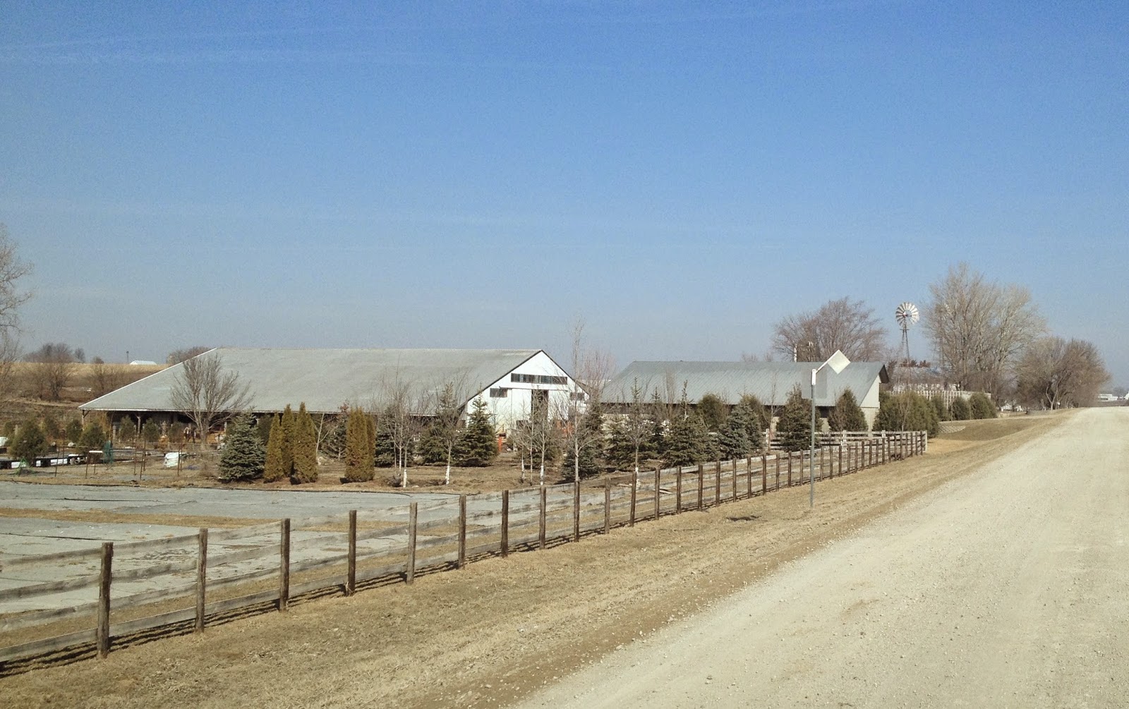 Amish Horses Amish Greenhouse