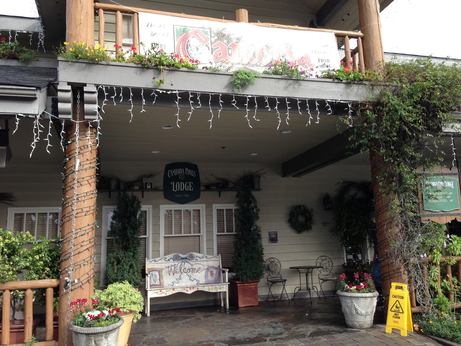 TASTE OF HAWAII CAMBRIA PINES LODGE CAMBRIA, CALIFORNIA