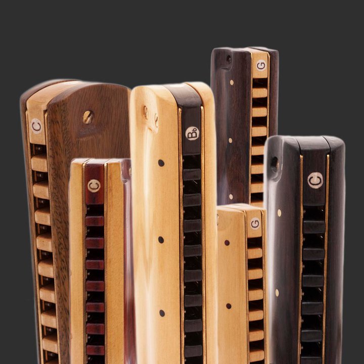 WORLD OF HARMONICA WOH Gear Guide Dortelharmonicas