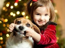 Animales tiernos 2015 - 2016 Animales tiernos 2015 - 2016