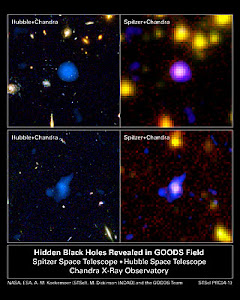 Hidden Black Holes Revealed in GOODS Field