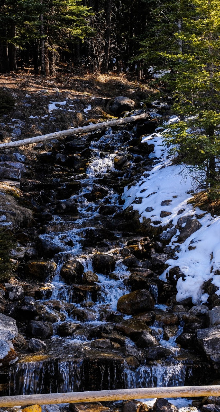 Waterfalls Alberta O'Shaughnessy Falls