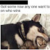 Gatitos son vendidos en Facebook como recompensas para perros de pelea