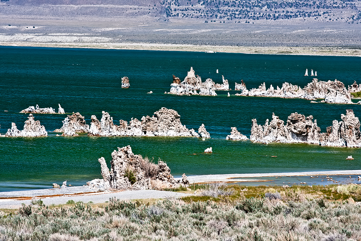 See What I See Mono lake