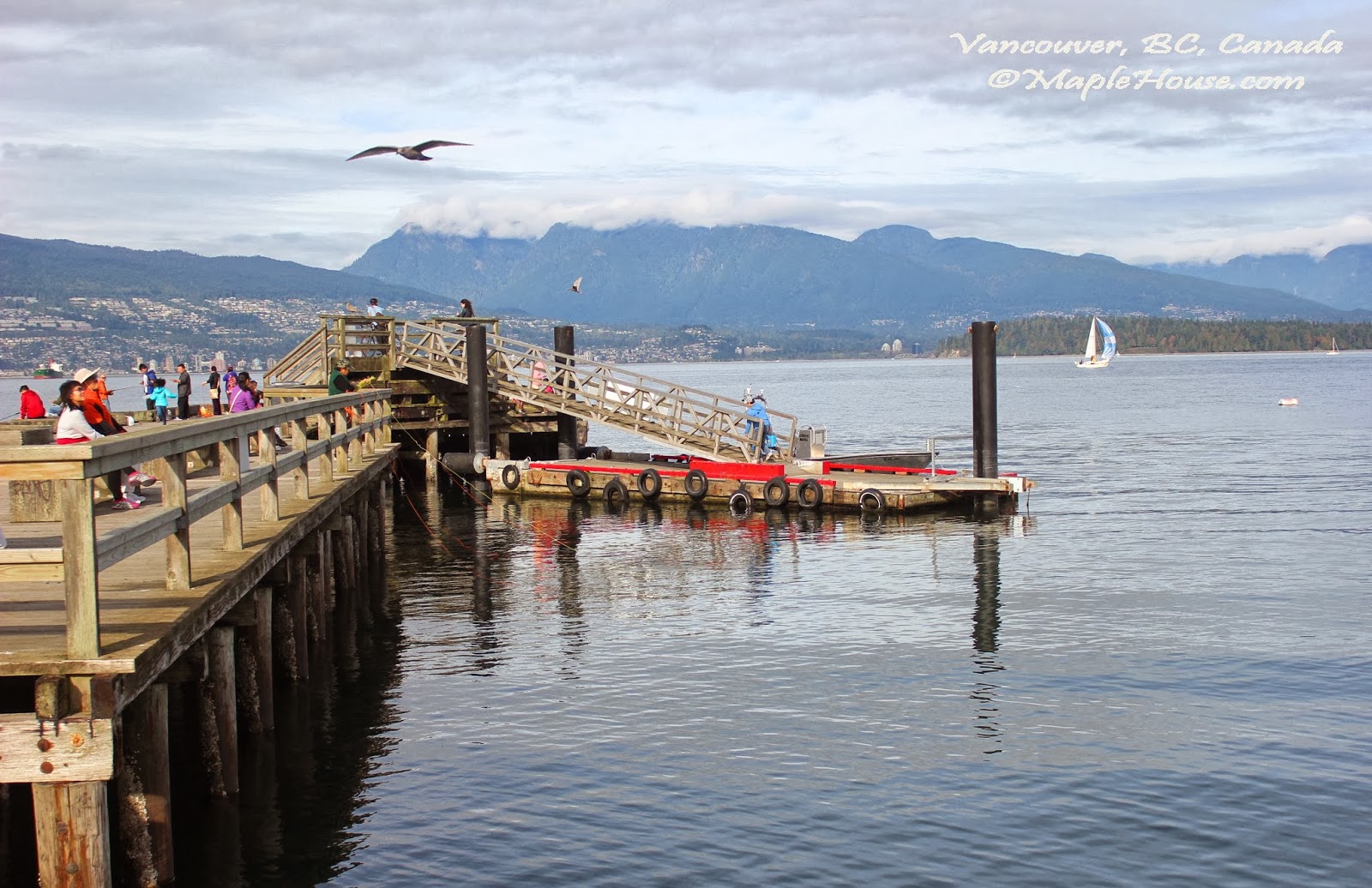 Living Vancouver Canada Fishing for Dungeness Crab at Jericho Beach