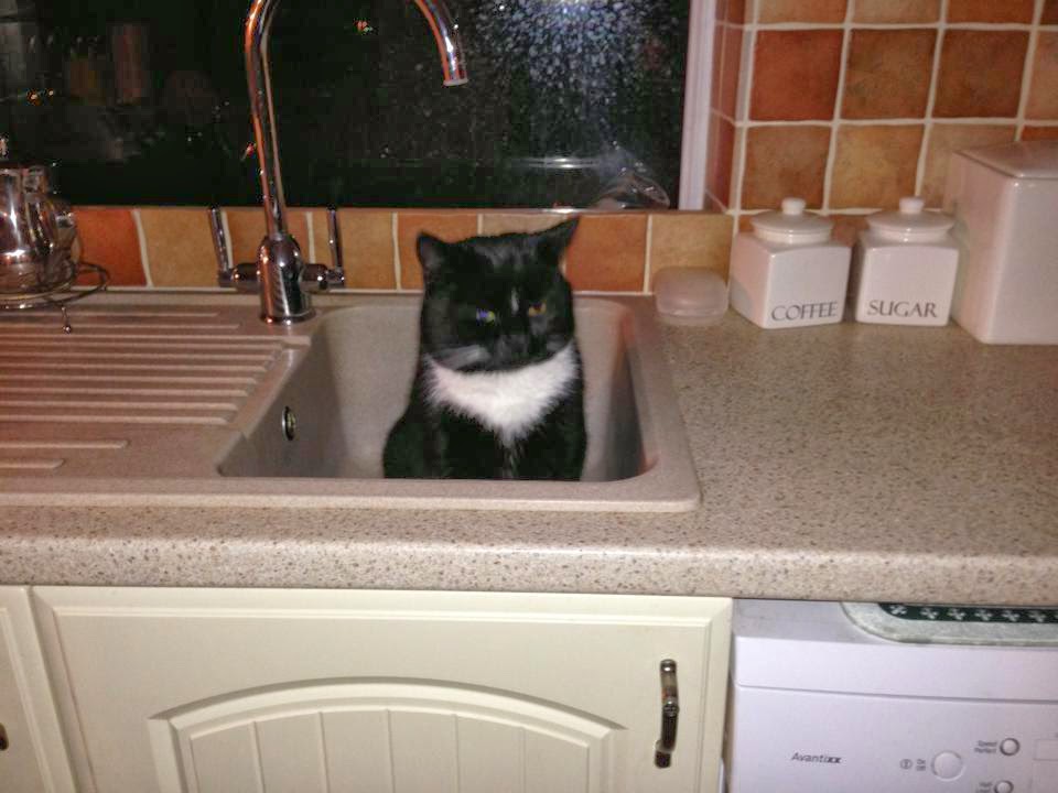 10 things you do when your house has no water TheHive.Asia