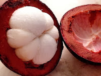 Manfaat dan Khasiat Buah Manggis Manfaat dan Khasiat Buah Manggis