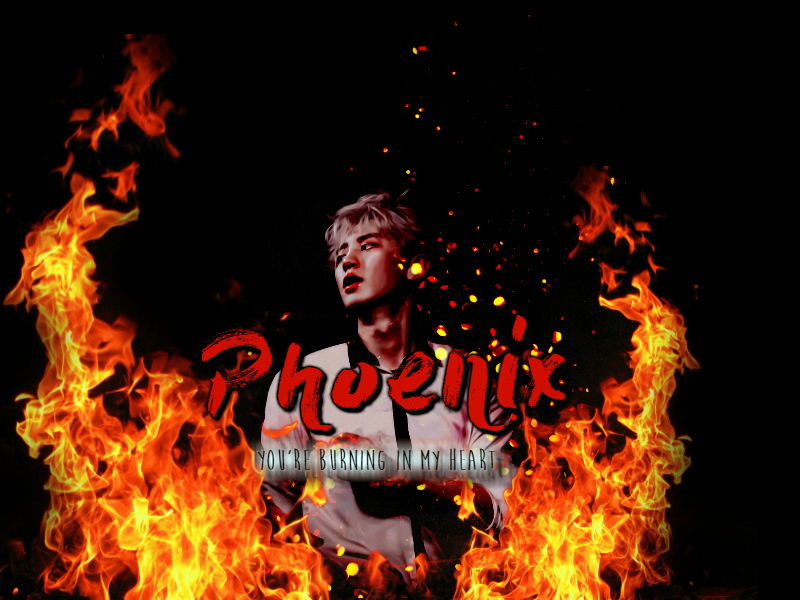 Phoenix - You're burning in my heart