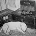 Willie, el bull terrier del general Patton