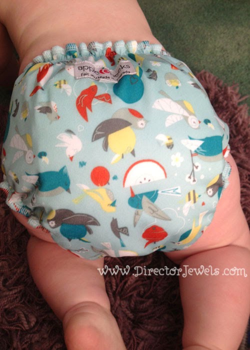 Director Jewels AppleCheeks Cloth Diapers Review + Micro Terry Bundle