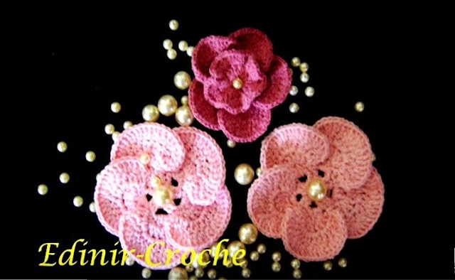 flores curso dvd 5 volumes loja curso de croche frete gratis edinir-croche aprender croche