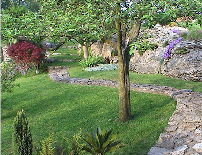 DISFRUTAR CON EL HUERTO Y EL JARDÍN: LA PODA EN VERDE DE ÁRBOLES