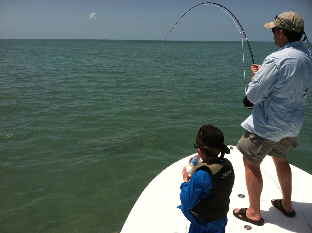shark fishing flats and bays shark fishing flats and bays