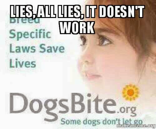 BSL does not work