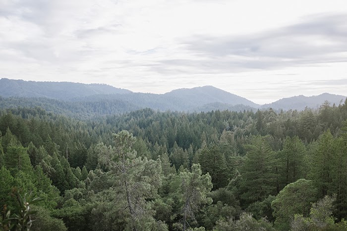 Big Basin Redwoods State Park