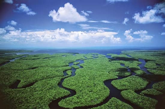 Tham quan vườn quốc gia Everglades