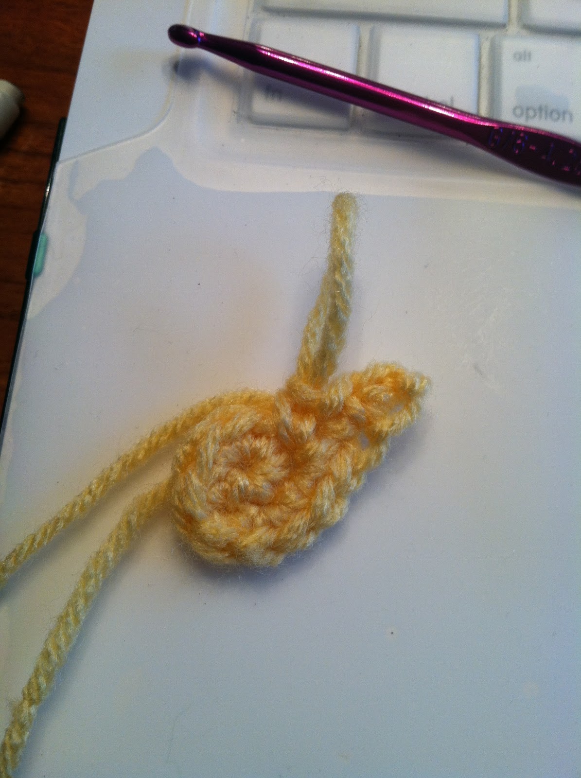 Heart in Flight Crochet Patterns and Tips for Crocheting Different Eye