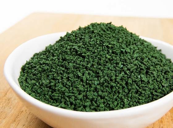 Spiruline recolte-et-sechage-de-la-spiruline