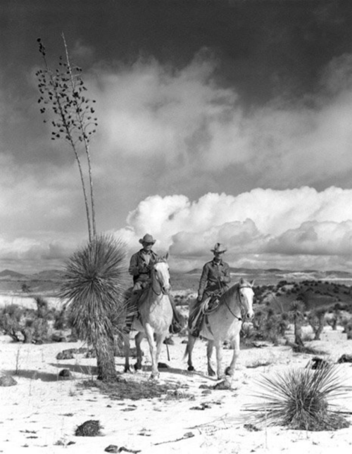 Cowboys, New Mexico, 1939 vintage everyday