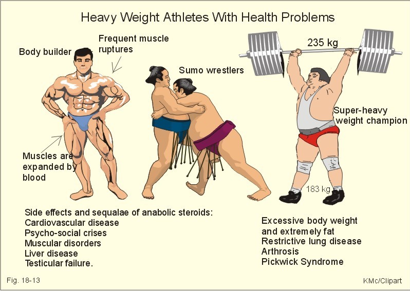 Effects of steroids essay