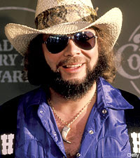 hank williams jr hank williams jr