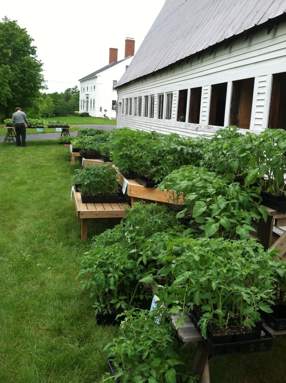 Spring Plant Sale Stout Oak Farm