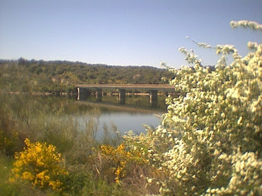 MI TIERRA