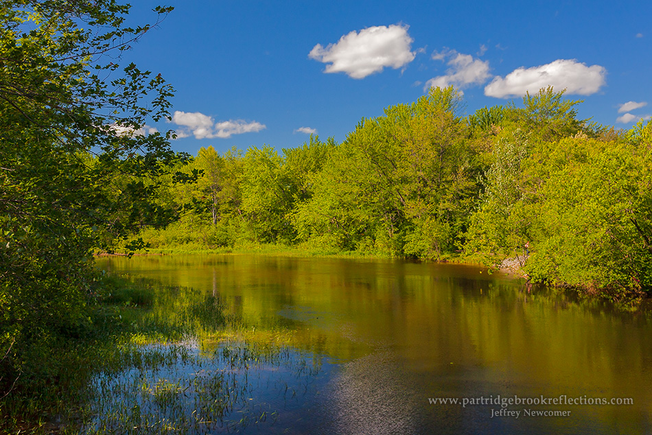Getting it Right in the Digital Camera Ashuelot River Park, Photo Album