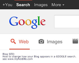 how to add metadata for SEO on your blog