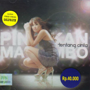 Pinkan Mambo - Ikatan Tersembunyi Pinkan Mambo - Ikatan Tersembunyi